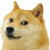 Donate with Dogecoin