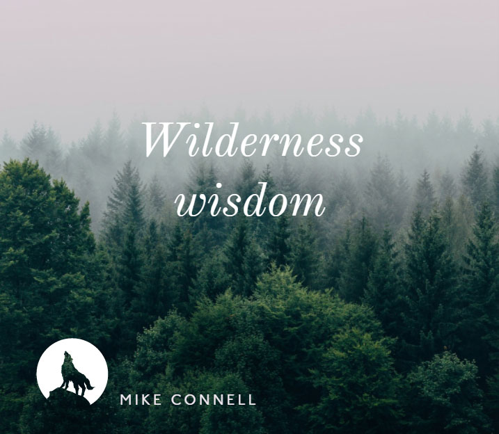 Wilderness Wisdom (3 of 4)
